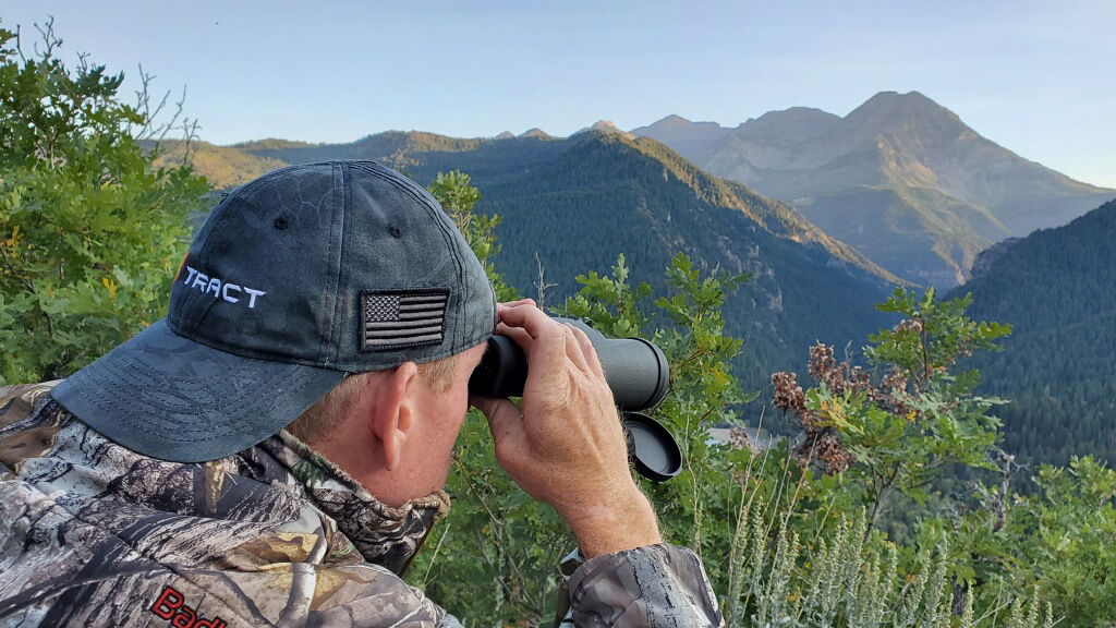 Glassing For Elk