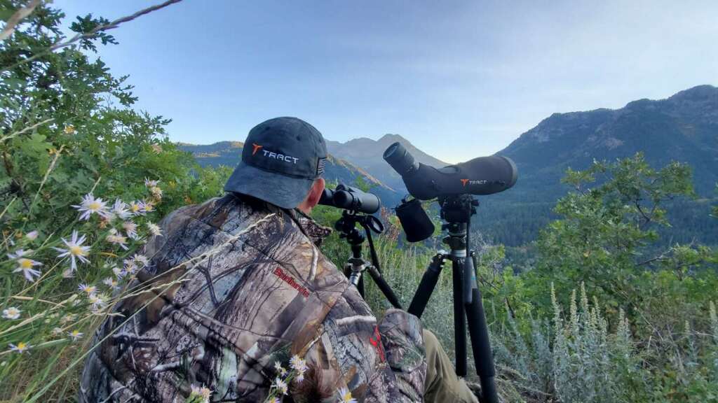 Glassing For Elk