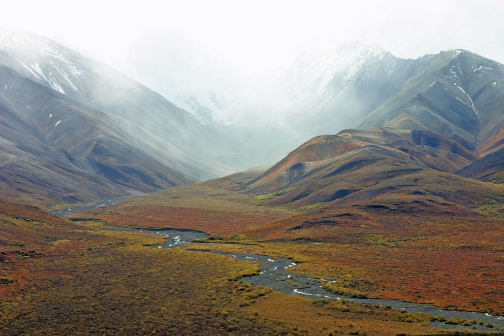 Planning a Caribou Hunt