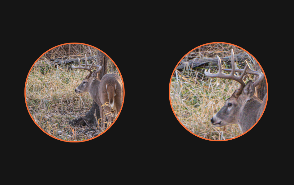 When it comes to the debate of 8x versus 10x binoculars, you should define where you’re hunting and what you’re hunting to determine what size is best for you.