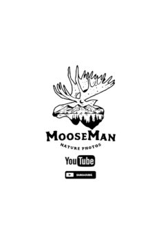 MooseMan