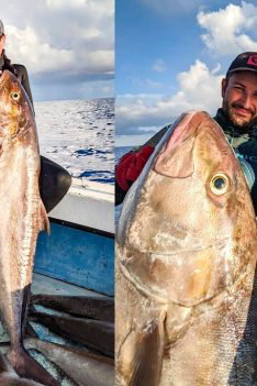 Pêche au harpon d'un poisson RECORD DU MONDE (Dry Tortugas Part 2)