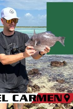 Parti pêcher au MEXIQUE ! (Beach Fishing)