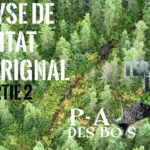 P-A des Bois en TERRITOIRE LIBRE - ÉPISODE #6 - ANALYSE DE L'HABITAT DE L'ORIGNAL - Partie 2