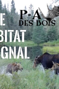 P-A des Bois en TERRITOIRE LIBRE - ÉPISODE #5 - ANALYSE DE L'HABITAT DE L'ORIGNAL