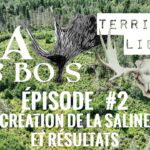 TERRITOIRE LIBRE P-A des Bois en TERRITOIRE LIBRE - ÉPISODE #2 - Création saline et résultats