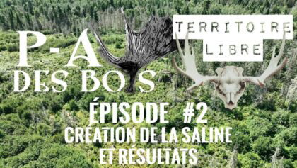 TERRITOIRE LIBRE P-A des Bois en TERRITOIRE LIBRE - ÉPISODE #2 - Création saline et résultats