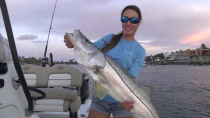 CATCHING BIG Snook with Live Bait