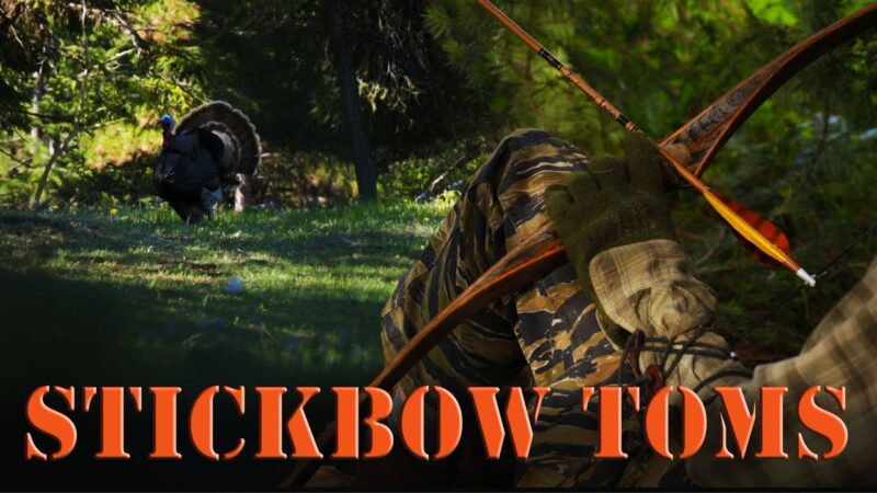 Traditional Bow Hunting Turkey  - 2019 Turkey Season