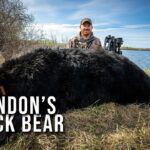 Driven Hunter L'ours noir de Brandon en Saskatchewan