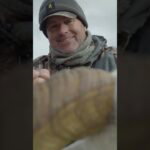 Driven Hunter Chasse au mouflon de Dall dans les Territoires du Nord-Ouest