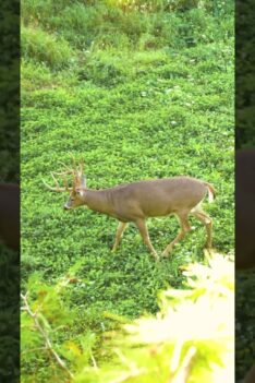 We're counting down the days... #bowhunting #whitetail #deerhunting