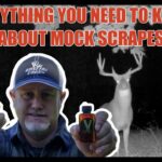 EVERYTHING you NEED TO KNOW about MOCK SCRAPES