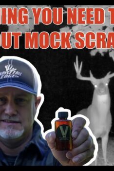 EVERYTHING you NEED TO KNOW about MOCK SCRAPES