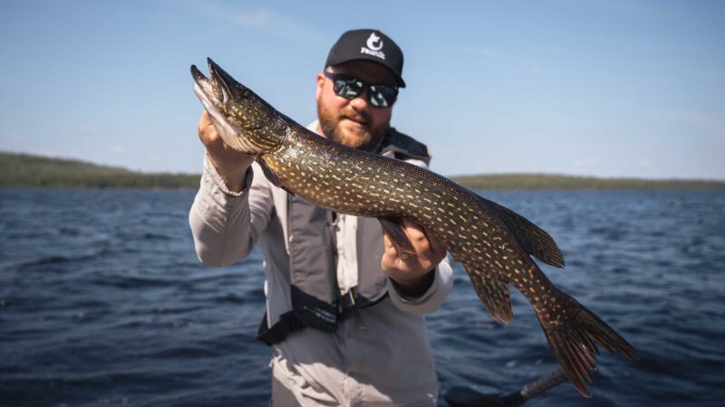 S03E08 - Pêche aux carnassiers en Haute-Mauricie.