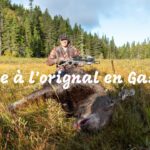 Chasse à l'orignal - Gaspésie 2022