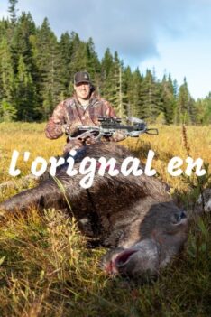 Chasse à l'orignal - Gaspésie 2022