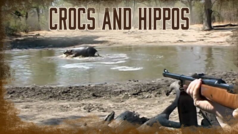 Introduction à la chasse au crocodile et à l'hippopotame | 1