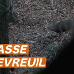 CHASSE au CHEVREUIL 2020, un beau BUCK! (Ép. 1)