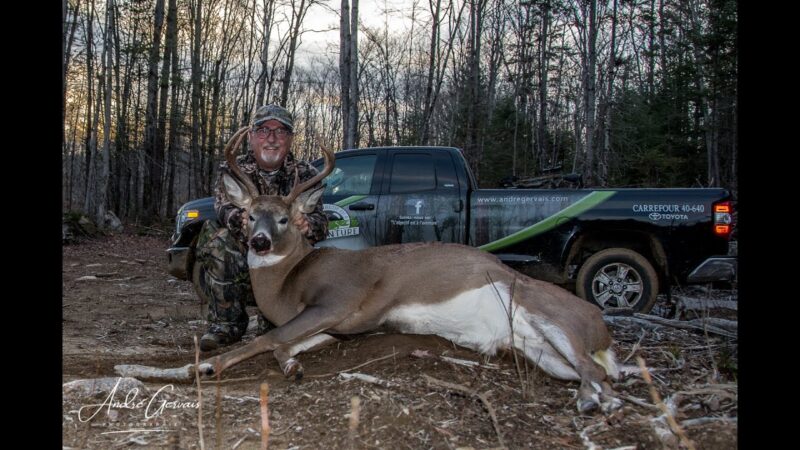 Chasse aux chevreuils, Big Buck Down