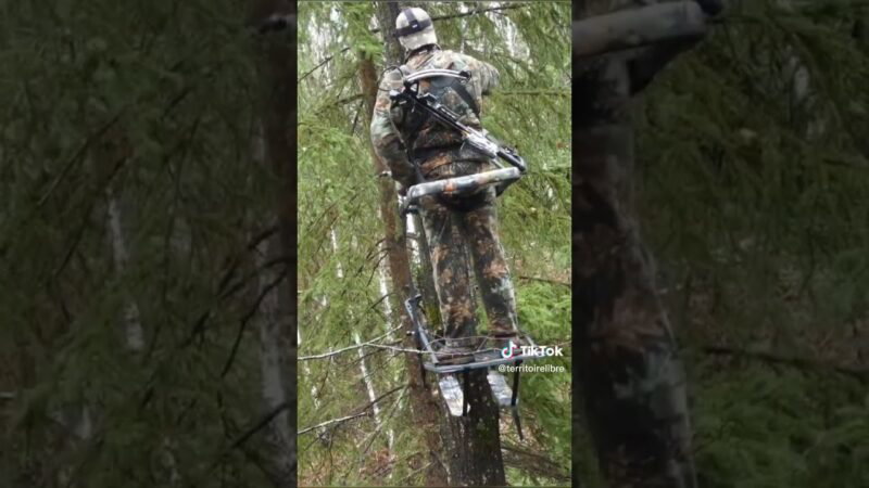 WATCH TILL THE END... SOME KIND OF HIGH TREESTAND