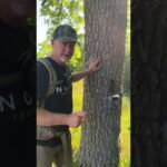 Trail camera tip number 1. Face them cameras as North as possible to get the best results!