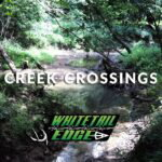 Whitetail Edge Booner School - "Deer Hunting Creek Crossings"
