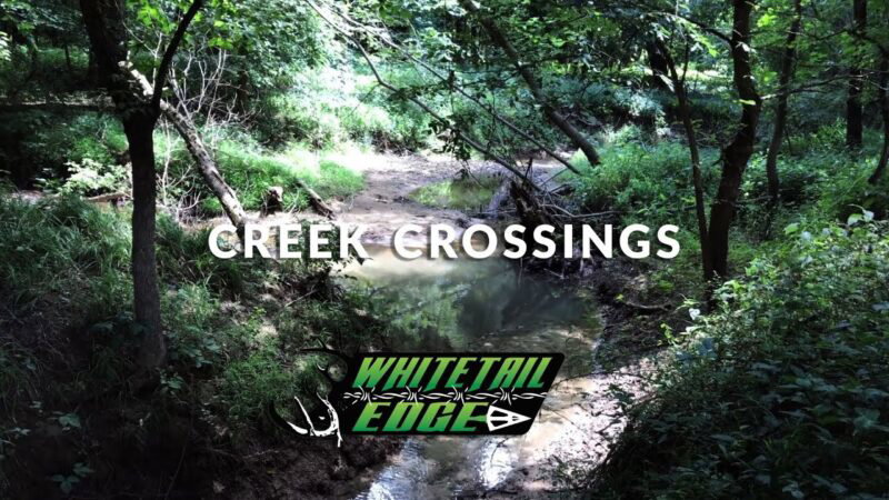 Whitetail Edge Booner School - "Deer Hunting Creek Crossings"