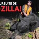Chasse à l'ours noir en Outaouais - Chasser, Cuisiner, Manger