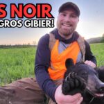 Chasse à l'ours, Premier gros gibier de Julien!