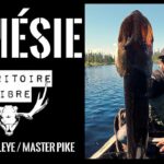 Trip de pêche à 400 km du Lac-Saint-Jean: Brochet Monstre et Master Dorés