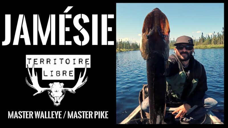 Trip de pêche à 400 km du Lac-Saint-Jean: Brochet Monstre et Master Dorés