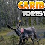 CARIBOU FORESTIER 2024 - TERRITOIRELIBRE