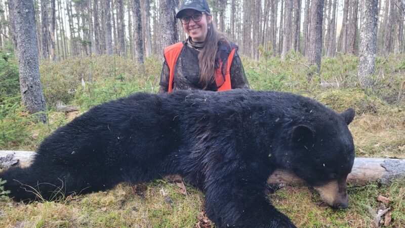 chasse à l'ours à Audrey 2023 - Max Outdoors