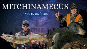 Combiné chasse à l’OURS & PÊCHE à Mitchinamecus