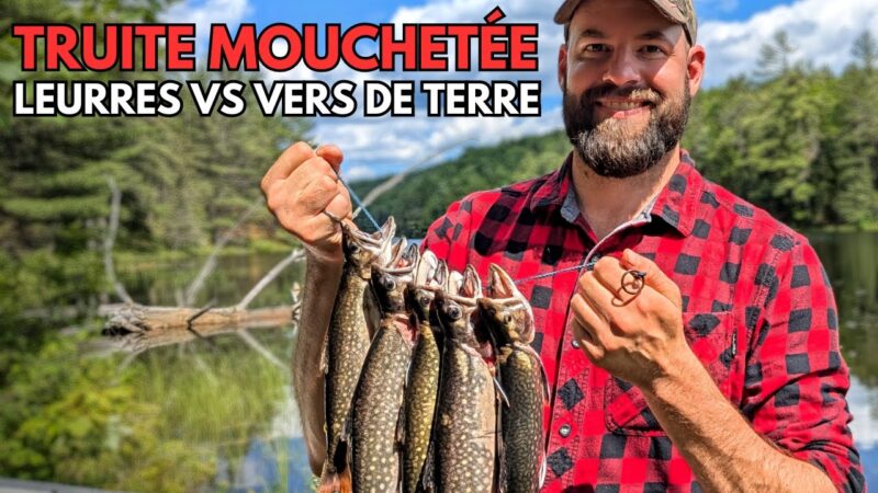 Pêche à la Truite Mouchetée - Leurres artificiels aussi bons que des vers de terre?