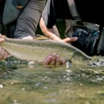 Pêche aux Saumons sur la Rivière Nouvelle