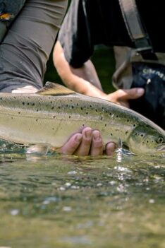 Pêche aux Saumons sur la Rivière Nouvelle