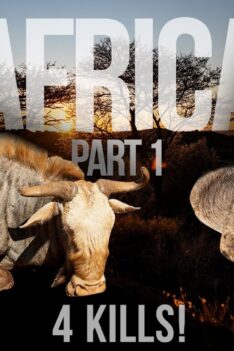 Afrique partie 1 - Chasse au springbok, au gnou et au phacochère!