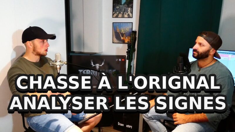 CHASSE À L'ORIGNAL - ANALYSE DES SIGNES