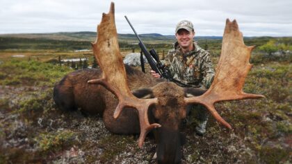 Chasse à l'orignal dans une région isolée de Terre-Neuve