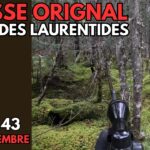 Chasse à l'orignal - SÉPAQ des Laurentides 2024