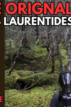 Chasse à l'orignal - SÉPAQ des Laurentides 2024