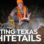 Chasse à la carabine sur les terres publiques du Texas