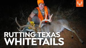 Chasse à la carabine sur les terres publiques du Texas