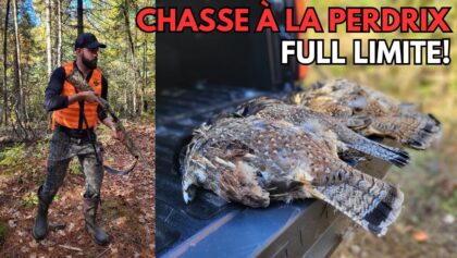 Chasse à la perdrix / gélinotte huppée en Outaouais!