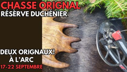 Chasse à l'orignal à l'arc - Réserve Duchénier 2024