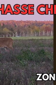 Chasse au chevreuil à l'arc - Zone 10 ouest