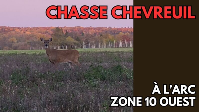 Chasse au chevreuil à l'arc - Zone 10 ouest