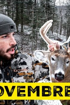 CHASSE au Chevreuil FULL RUT! (Femelle en Chaleur)